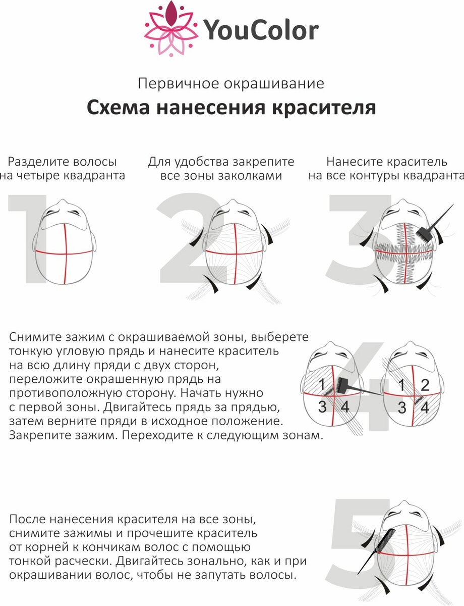 Первичное окрашивание схема