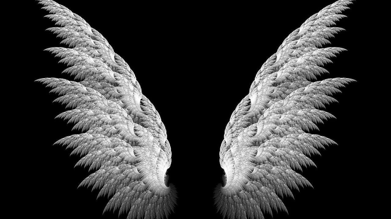 Крылья ангела на черном фоне