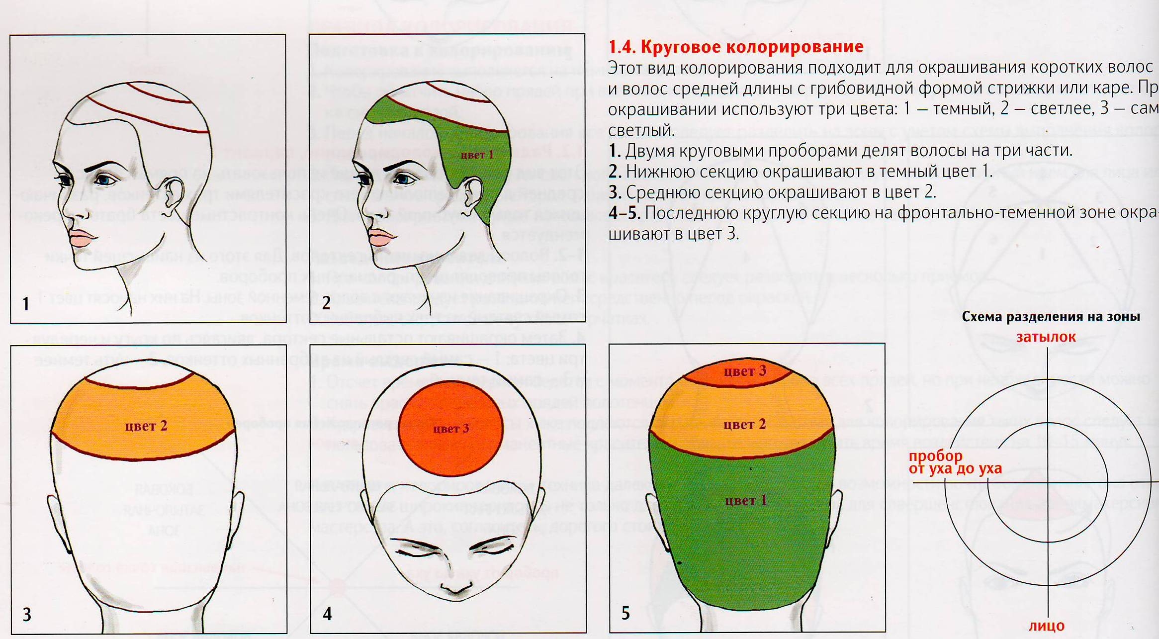 Цвет волос схема