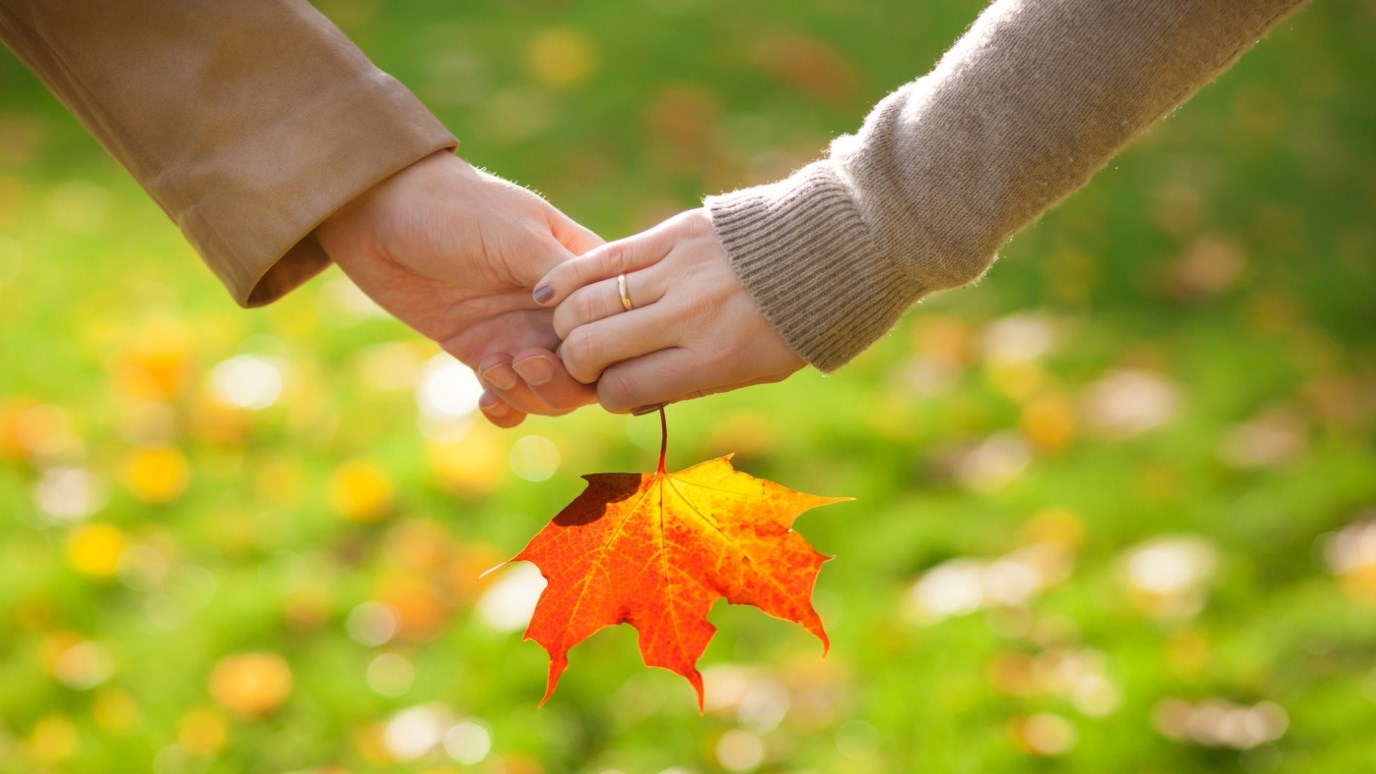 Осень дарит вдохновение. Осенняя любовь. Осенние листья в руках. Рука в руке осень. Осеннее настроение.