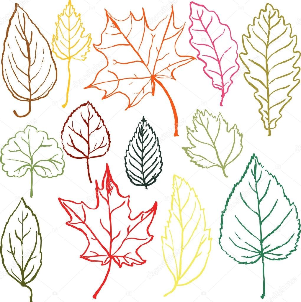 Листья рисунок. Рисунки на маленьких листочках. Рисование листиками. Красивые листья рисунки.