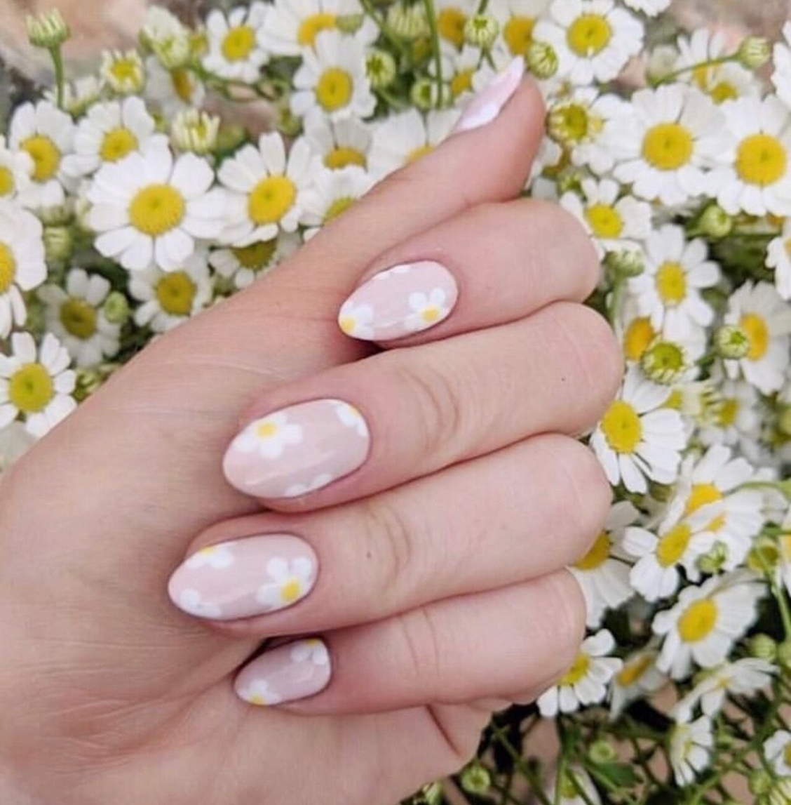 Ромашки на ногтях