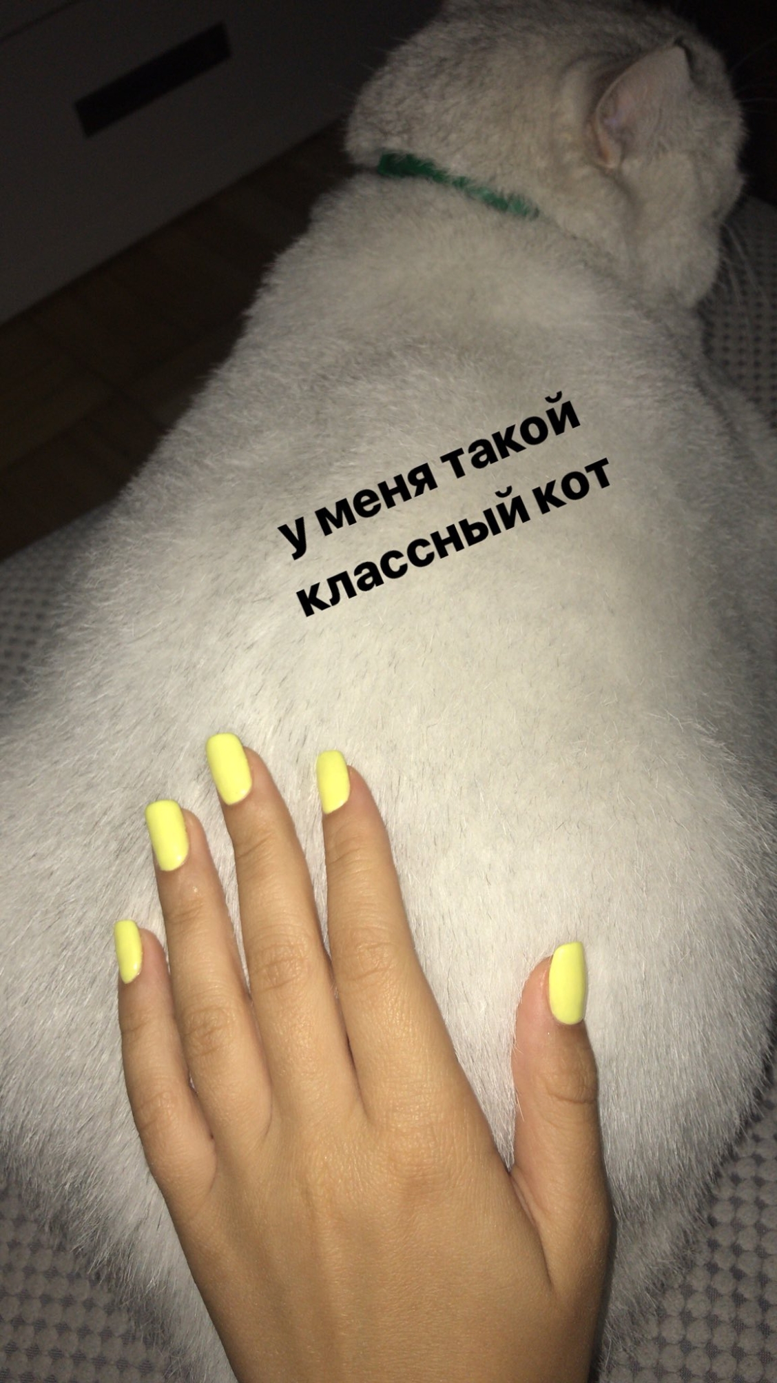 Приколы про маникюр