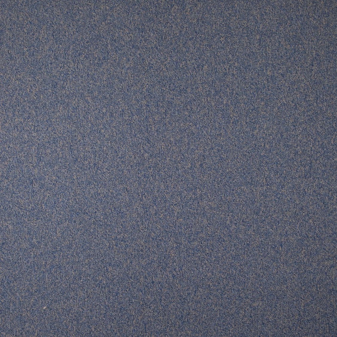 Oikos Novalis ferromicaceo