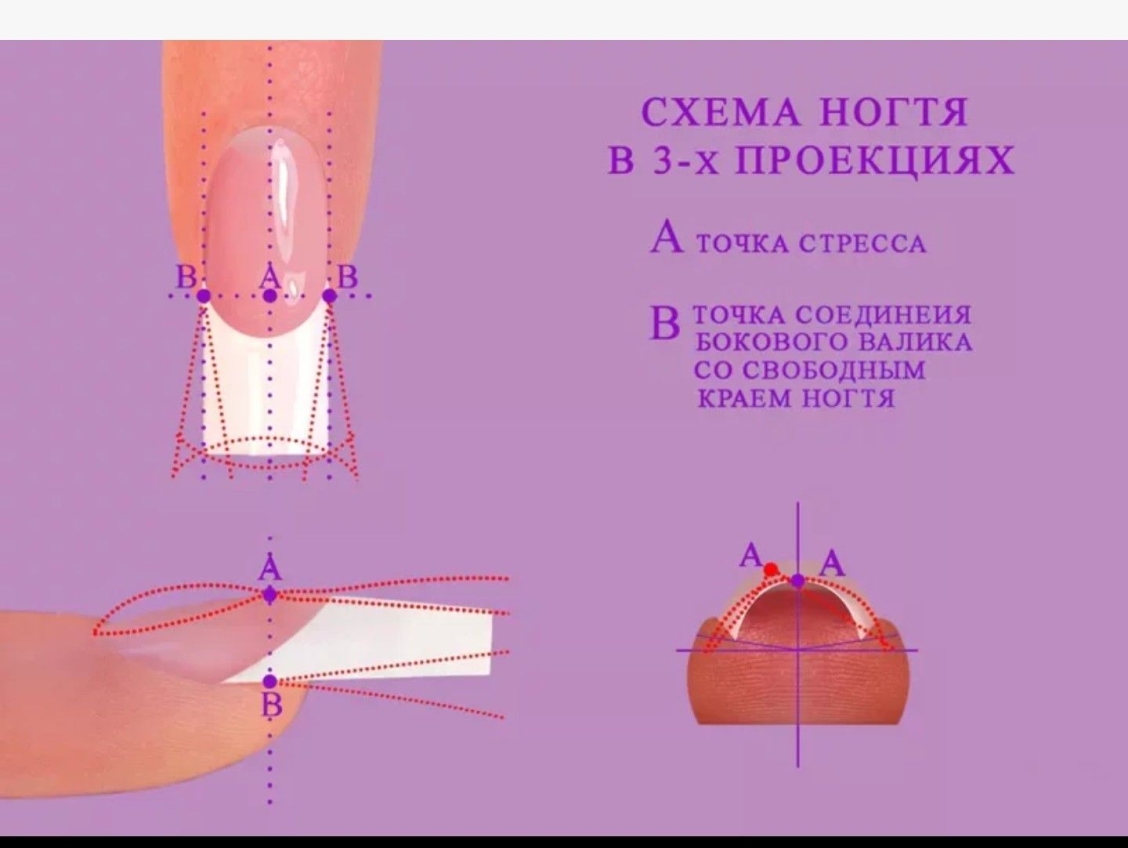 Формы ногтей и название