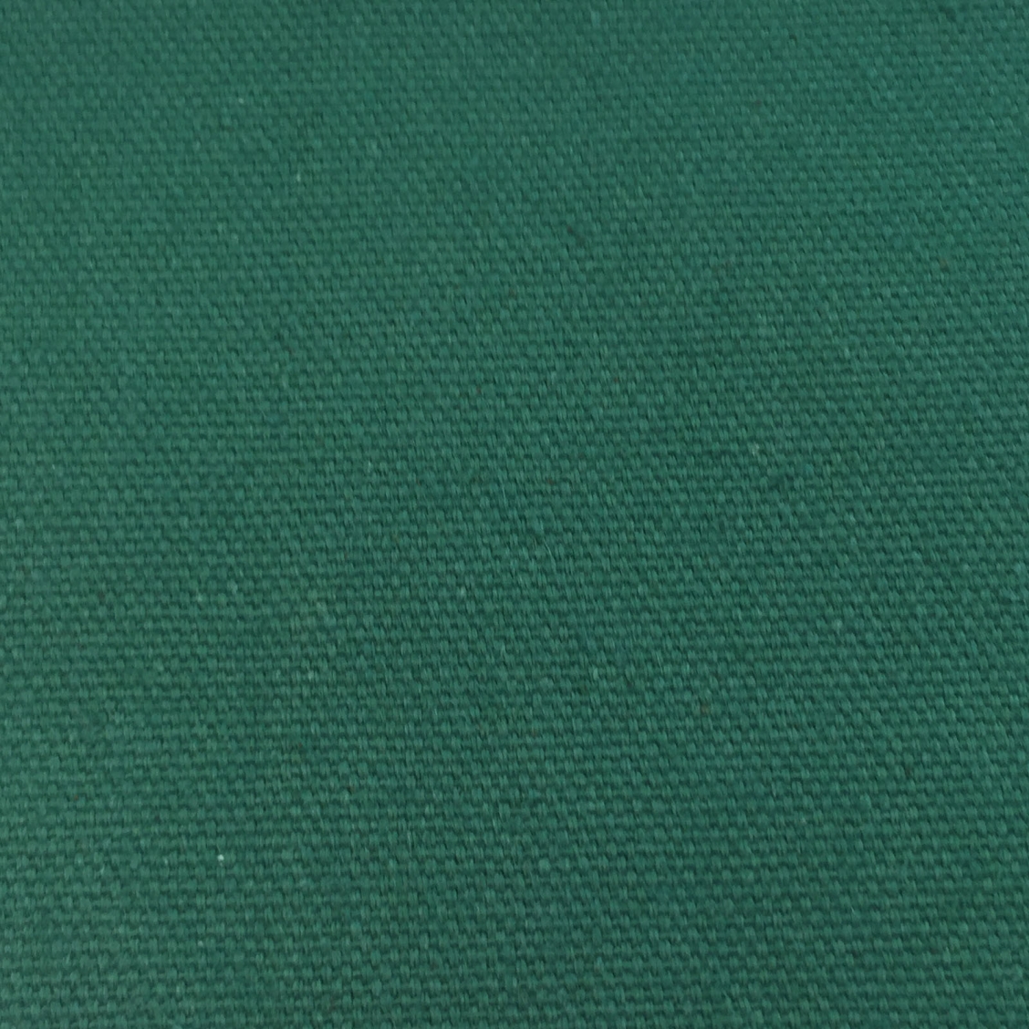 Little Green Puck 298