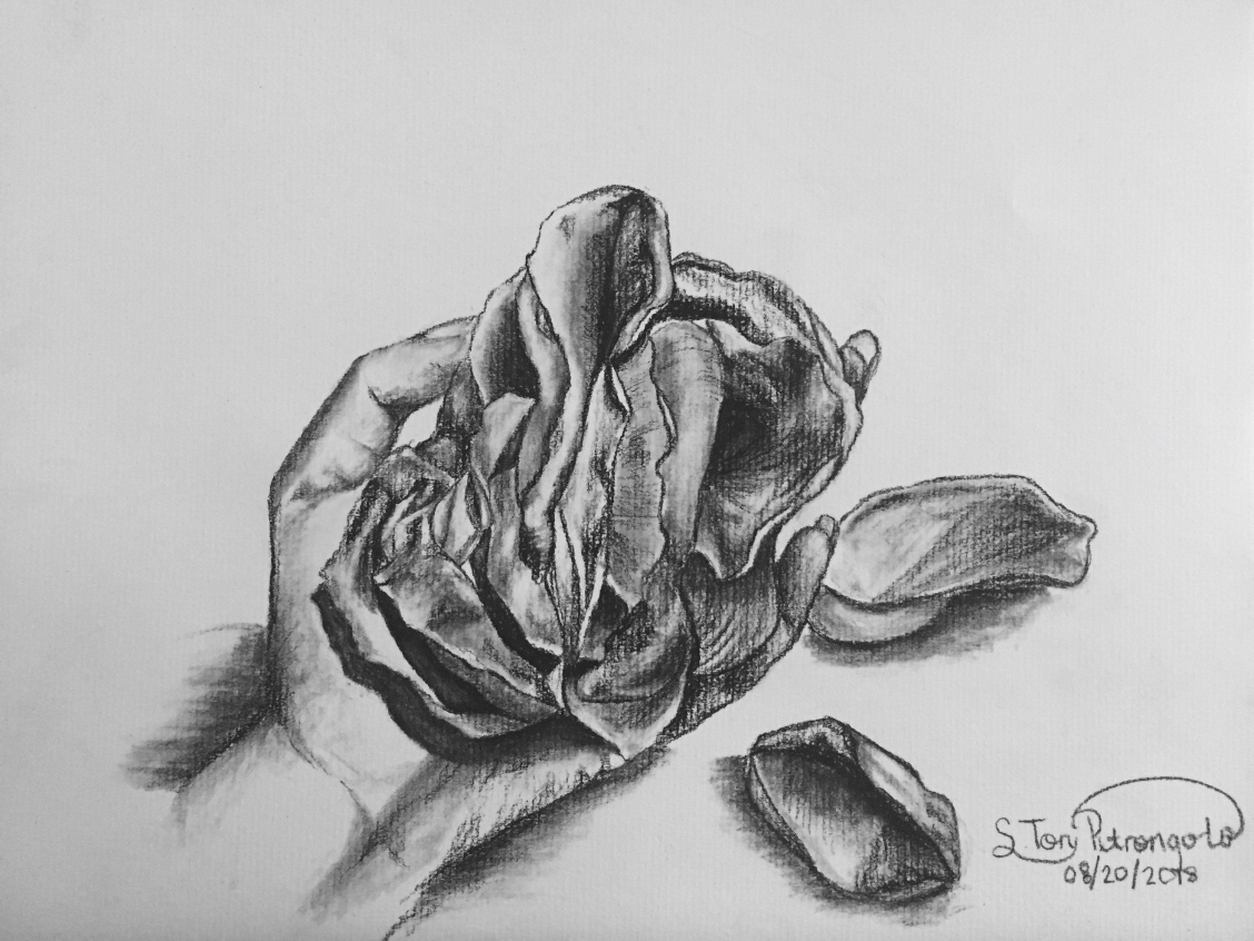 Академический рисунок роза