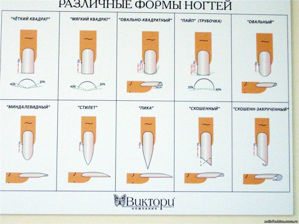 Схема опила формы ногтей овал