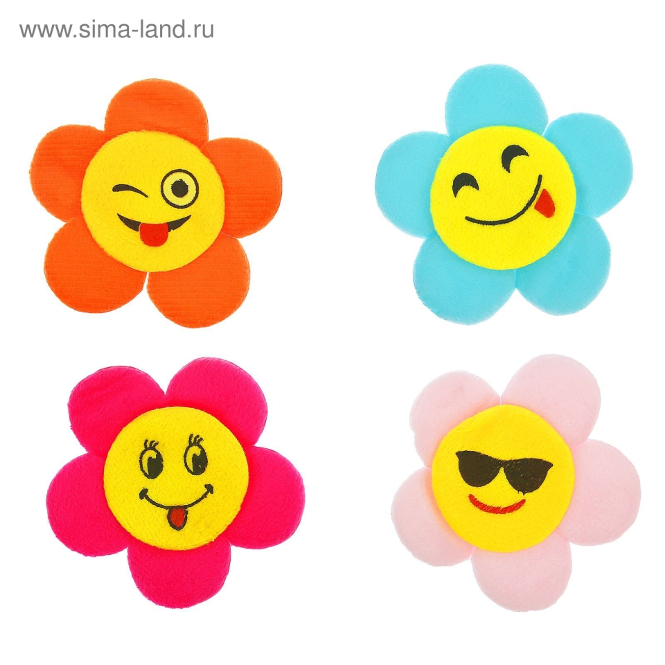 Хризантема Рейнбоу куст