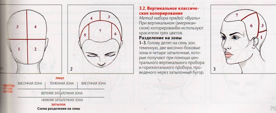 Первичное и вторичное окрашивание волос схема