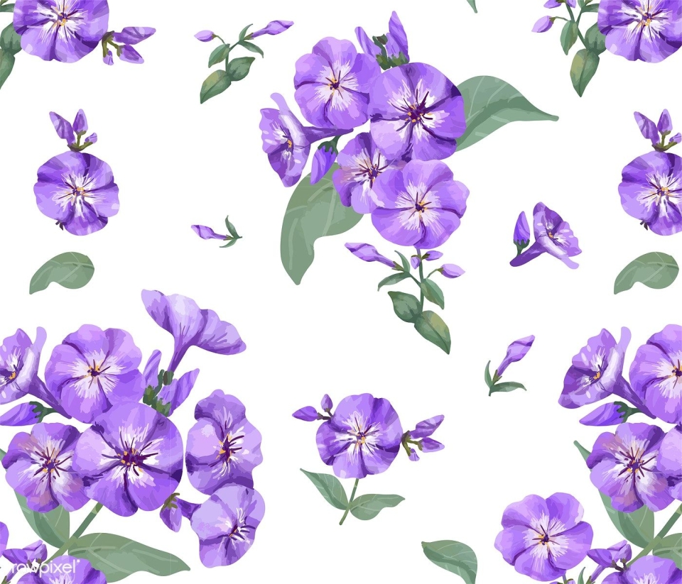 Флокс вектор