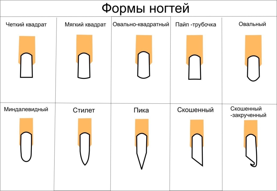 Форма ногтей разновидности
