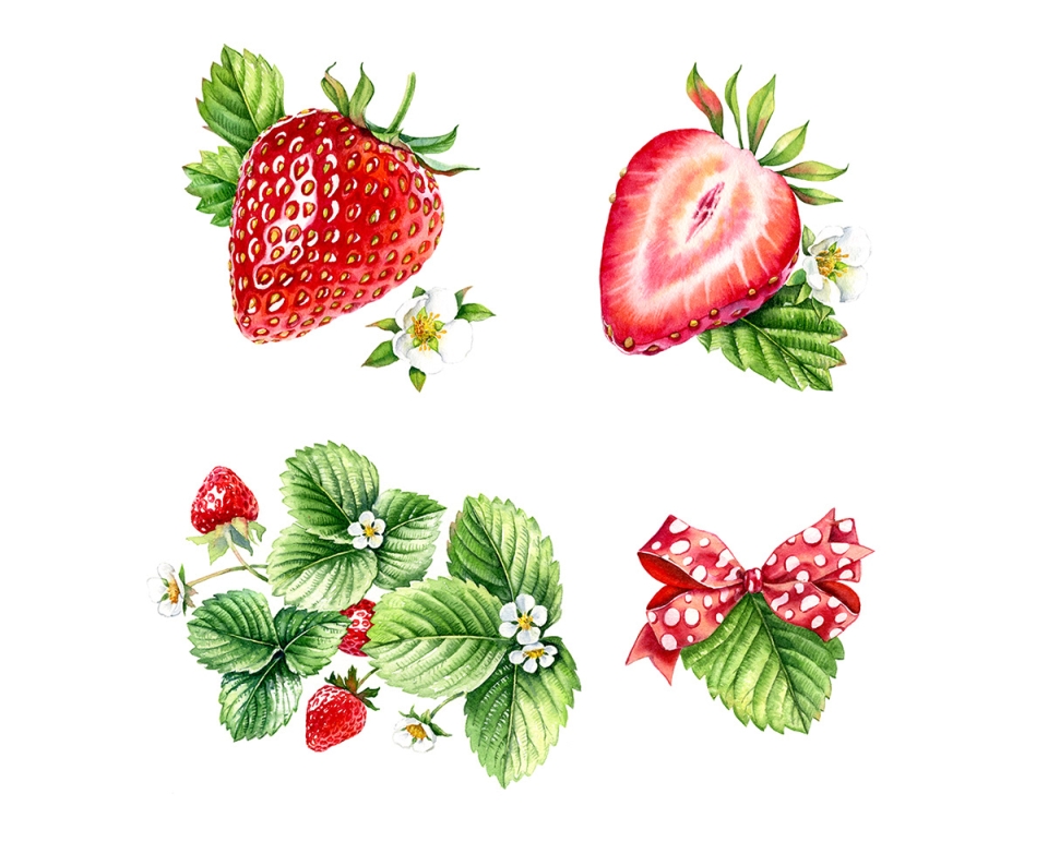 Клубника акварелью