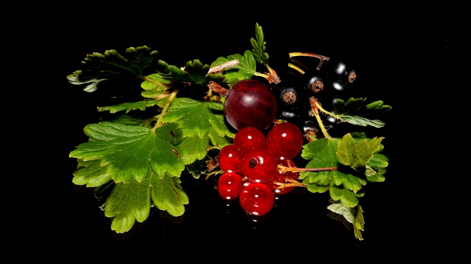 Красная смородина и крыжовник