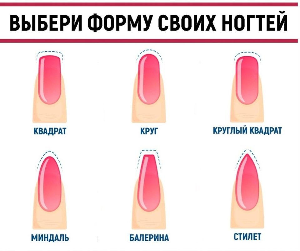 Форма ногтей разновидности