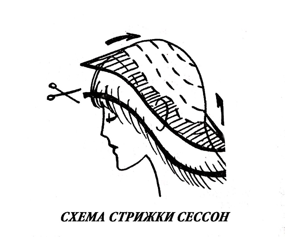 Сессон как стричь схема