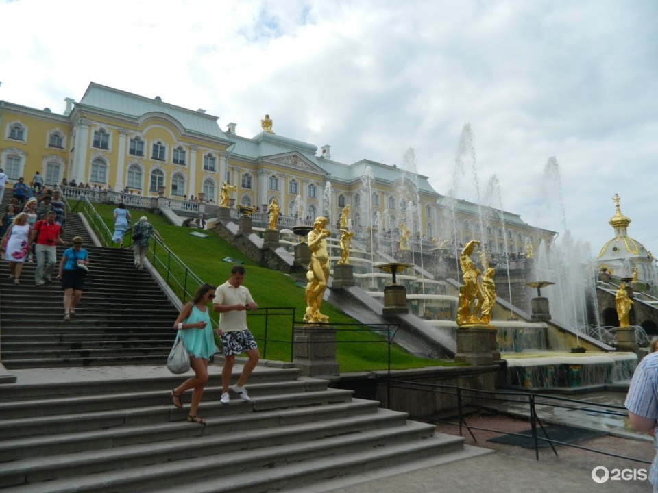 СПБ Просвещение Петергоф