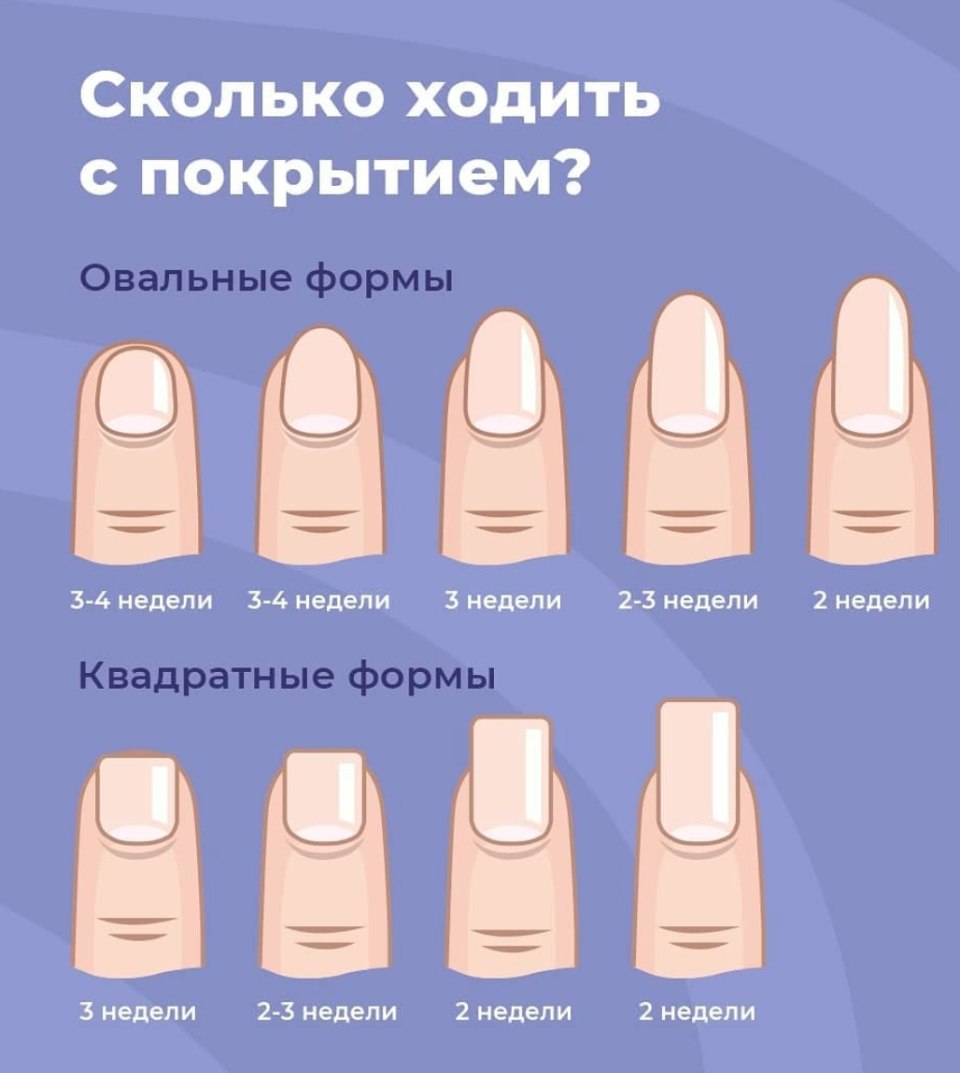 Срок ношения ногтей
