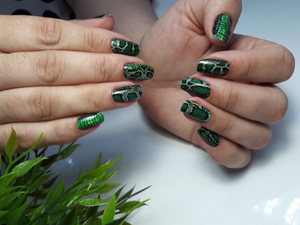 Маникюр зеленый со змеями