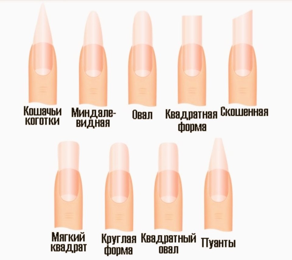 Длинное и короткое ногтевое ложе