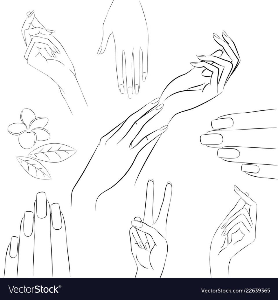 Очертание женских рук