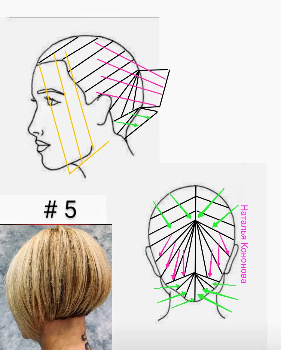 Схемы стрижек. Градуированное каре на короткие волосы техника стрижки. Градуированный Боб каре схема. Схема стрижки градуированное каре на короткие волосы. Пикси каре схема стрижки.