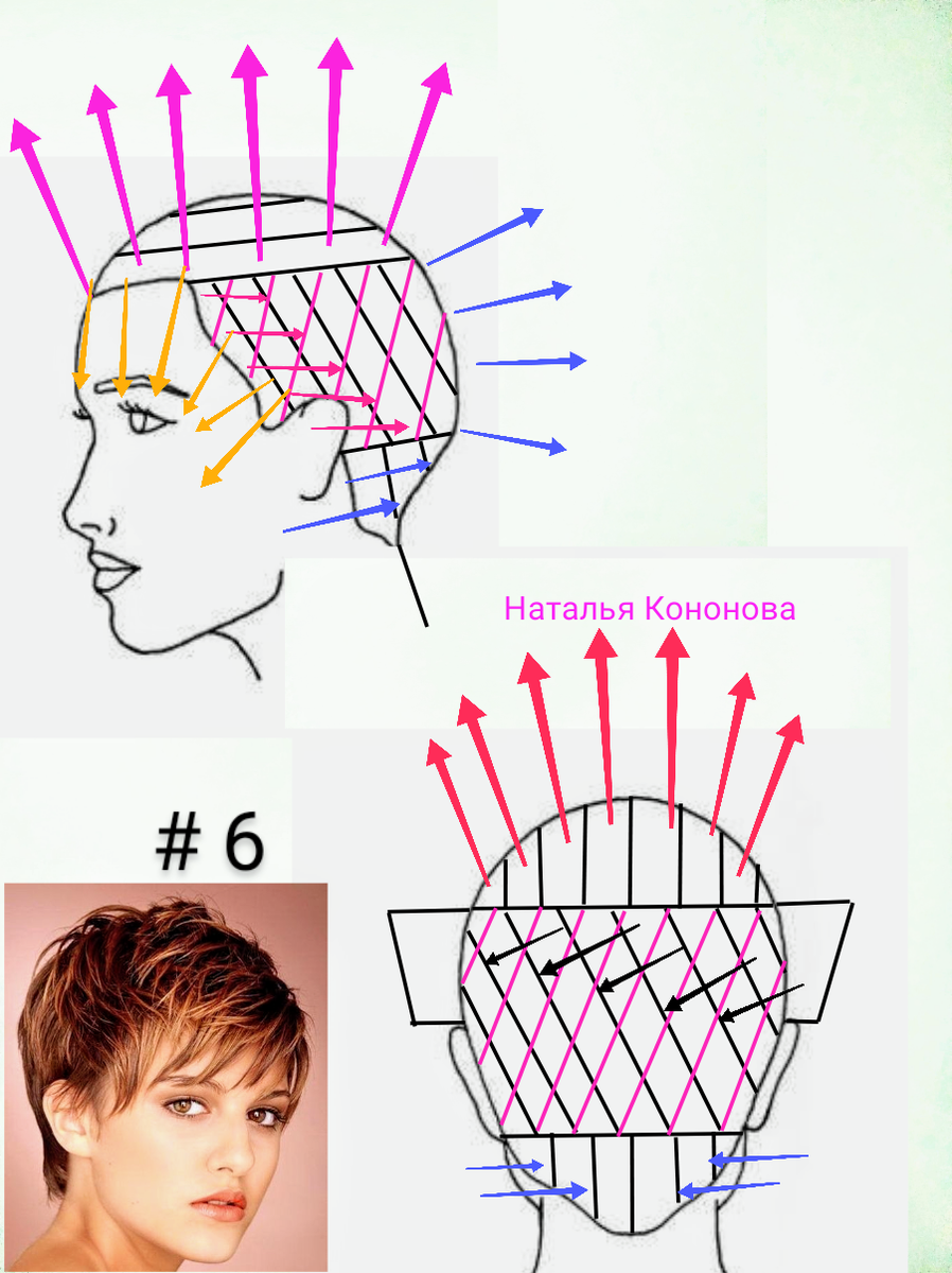 Короткая схема. Пикси стрижка схема стрижки. Схема стрижки Гаврош. Гаврош технология и схема стрижки. Схема стрижки Гарсон Натальи Кононовой.