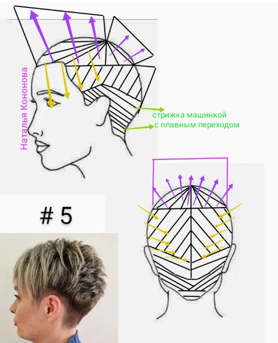 Техники стрижек. Гаврош технология и схема стрижки. Пикси схема выполнения стрижки. Схемы стрижек для начинающих парикмахеров. Схема стрижки на короткие волосы.