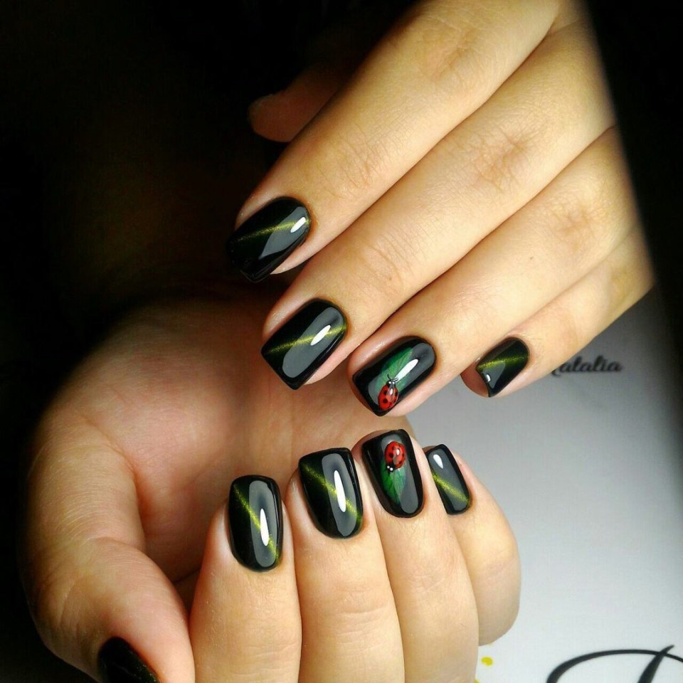 Шилак кошачий глаз чёрный