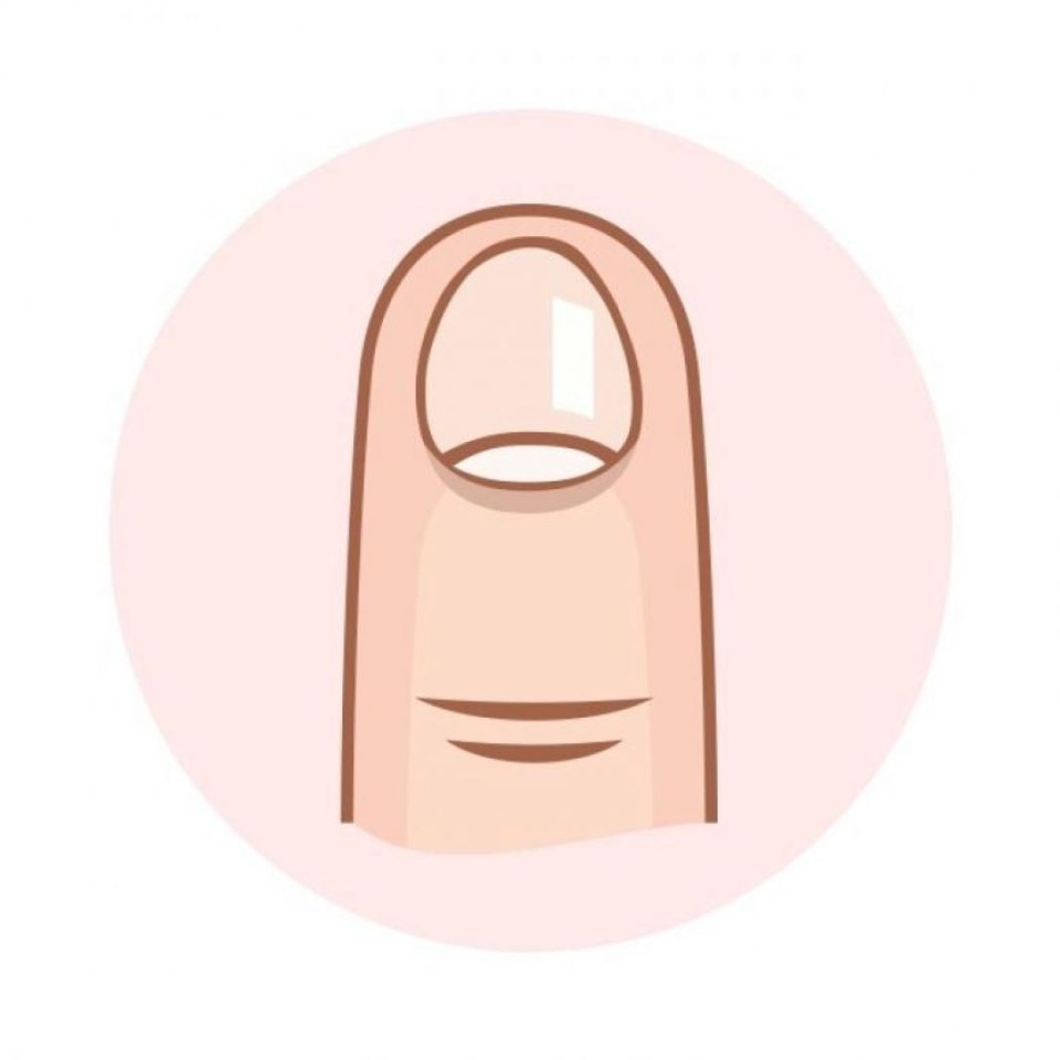 Форма ногтей фото схема