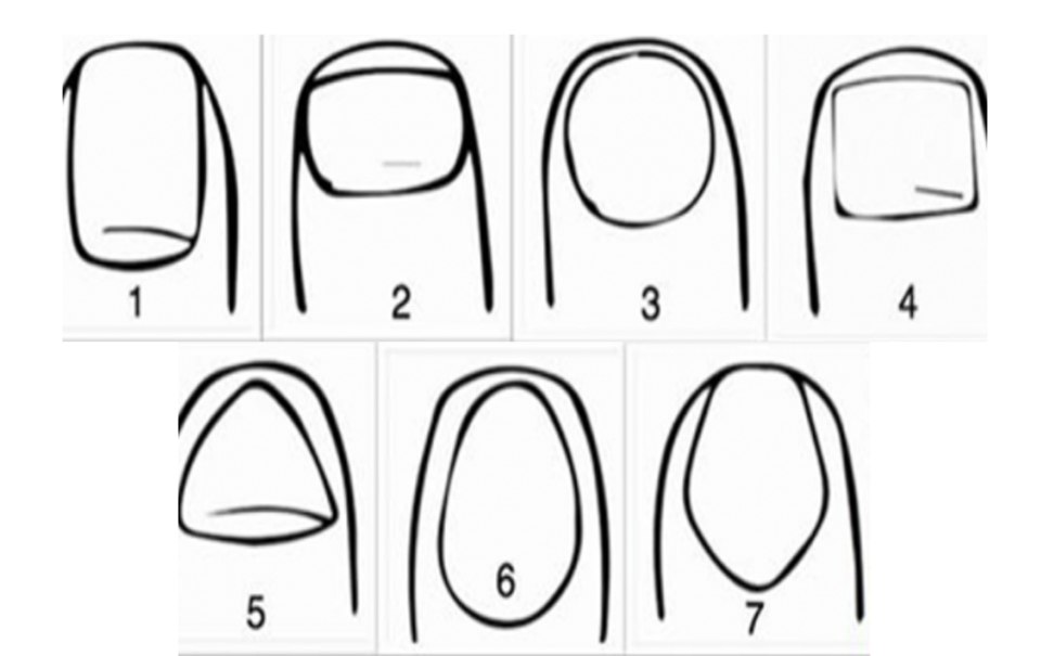 Формы ногтей схема