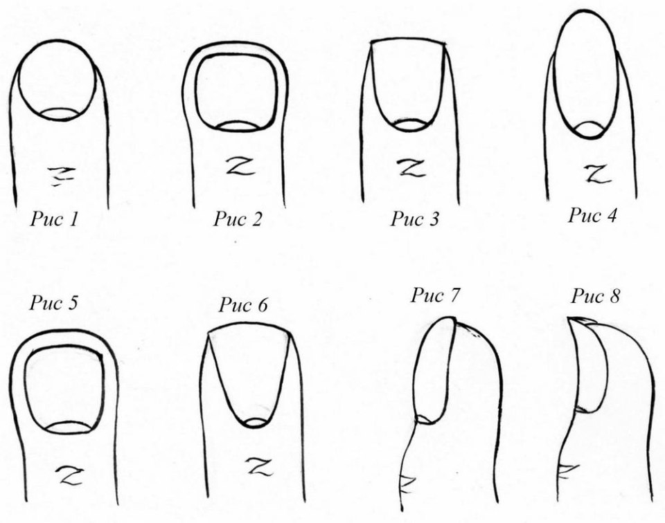 Опил формы натуральных ногтей схема