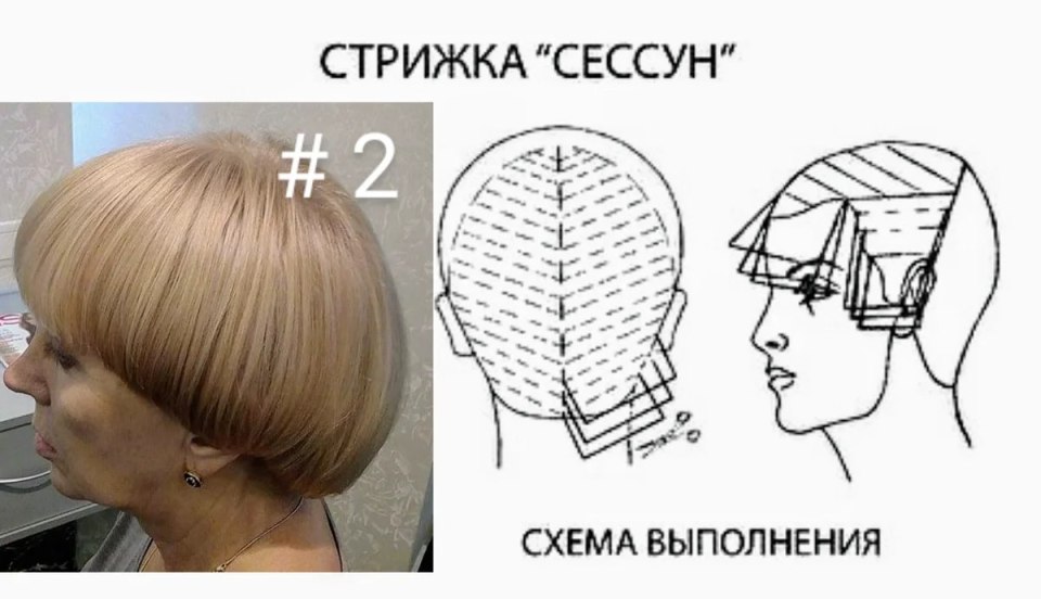 Технология стрижки сессун схема