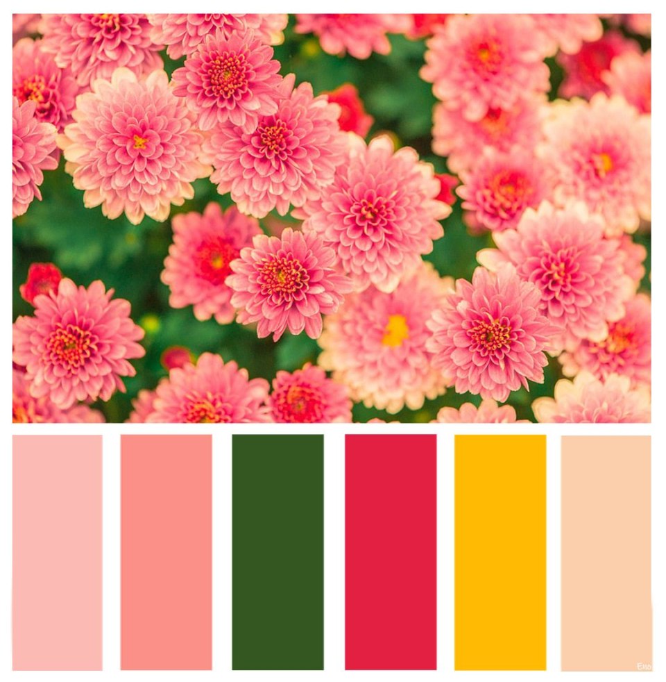 Программа для палитры цветов по фото