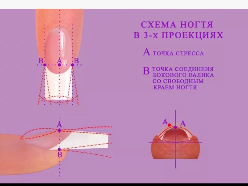 Правильная архитектура ногтя миндаль вид сбоку