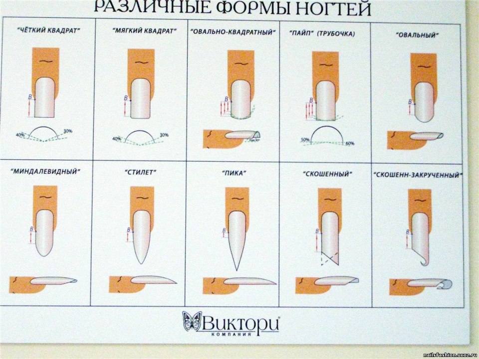 Правильная архитектура ногтя миндаль вид сбоку