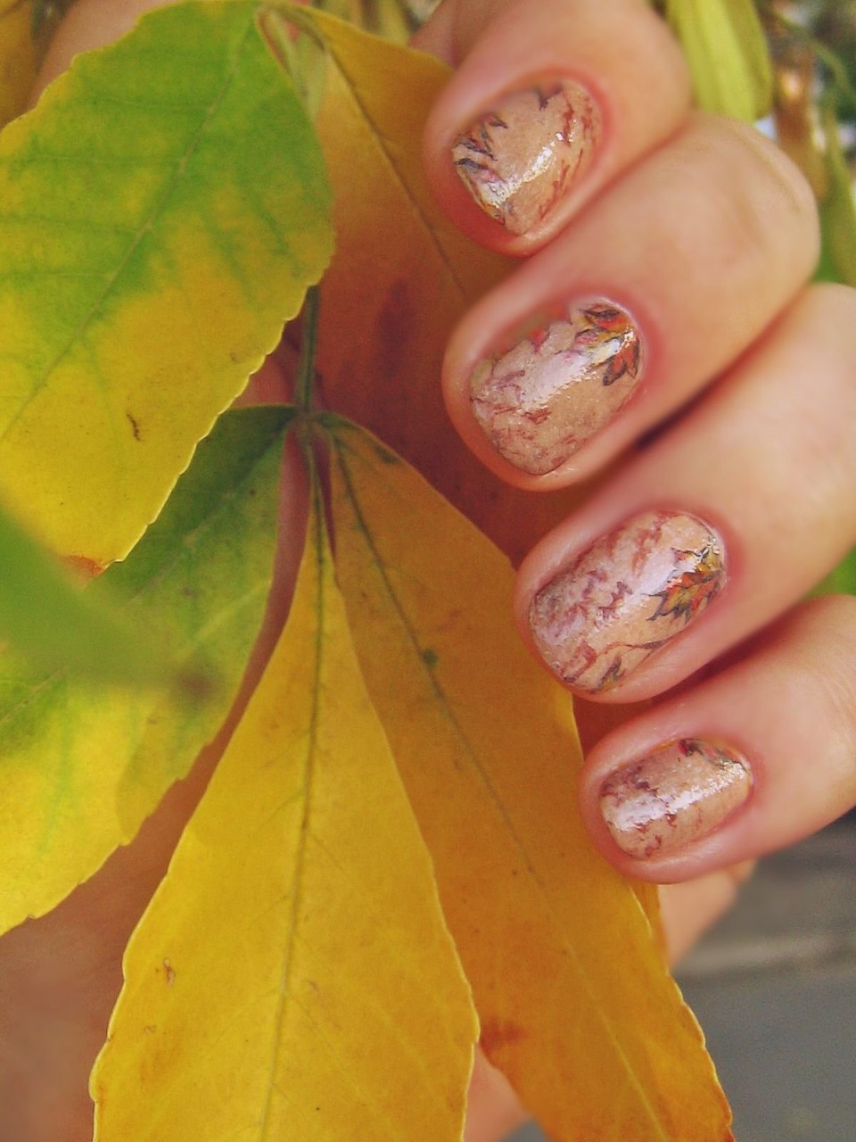 Французский маникюр с осенней тематикой