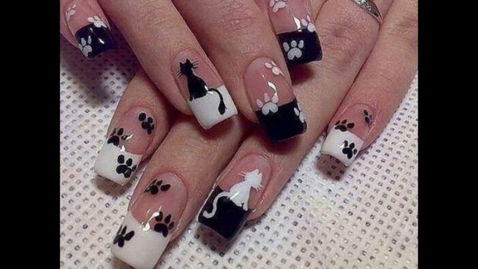 Кошка на ногтях