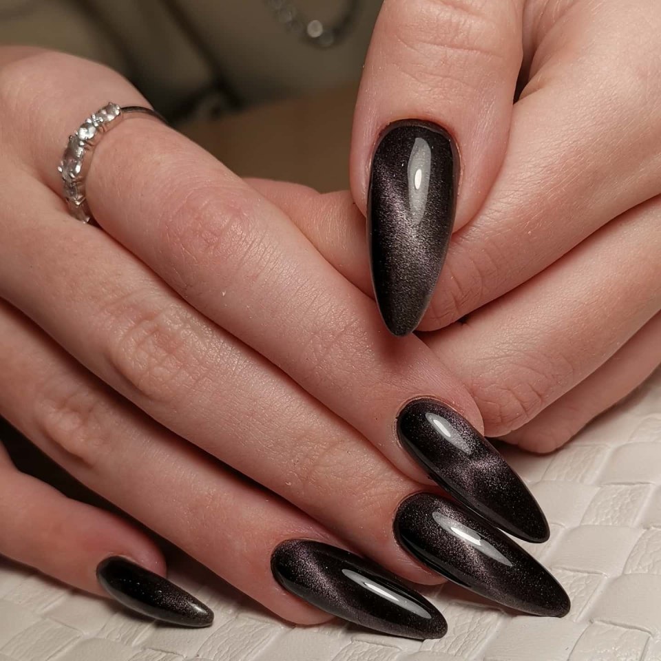 Черная кошка на руках