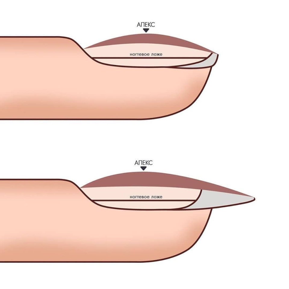 Схема ногтя сбоку
