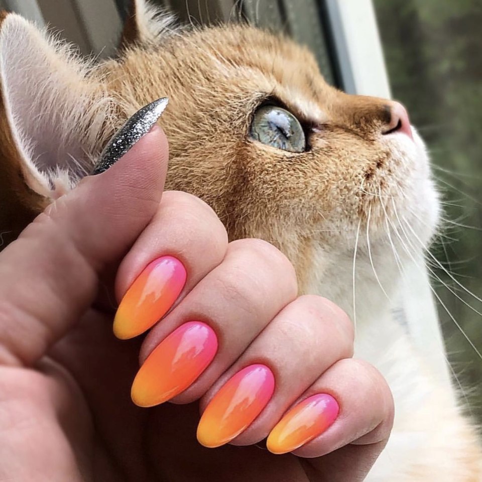 Маникюр с кошками