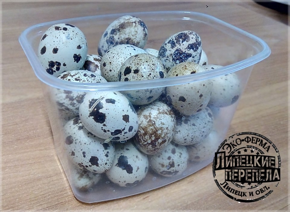 Маникюр перепелиное яйцо миндаль