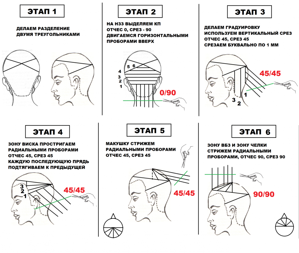Проборы на голове схема