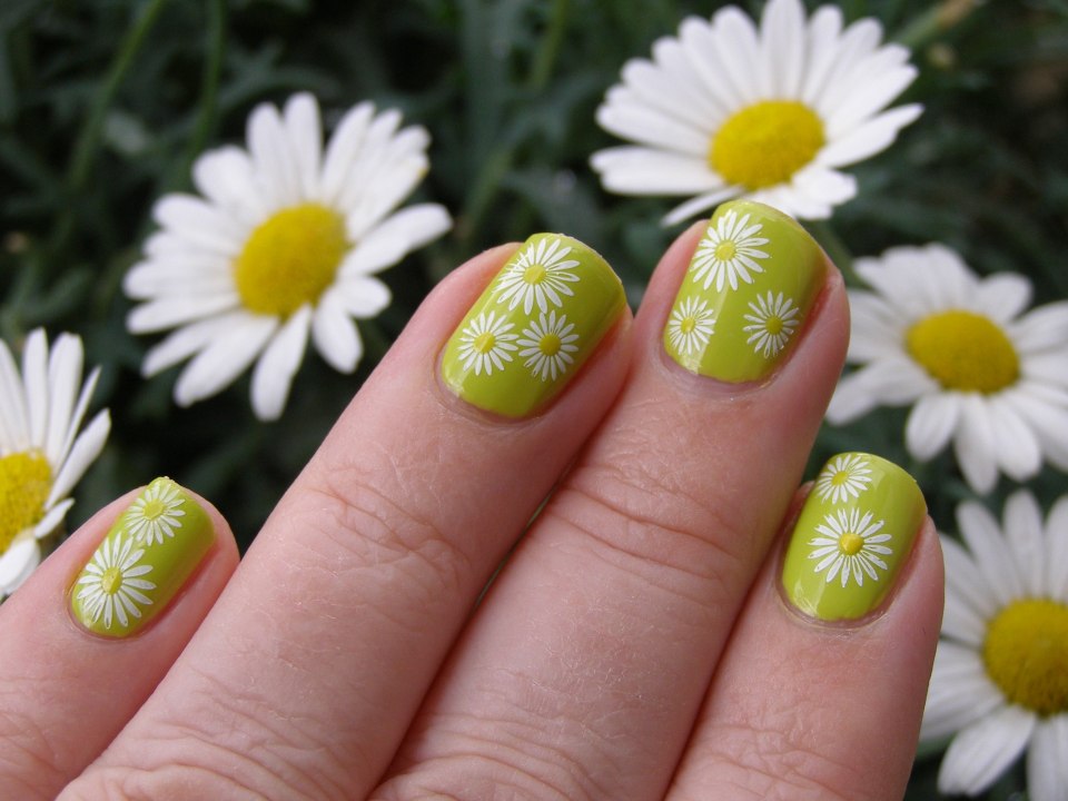 Маникюр с ромашками на ногтях
