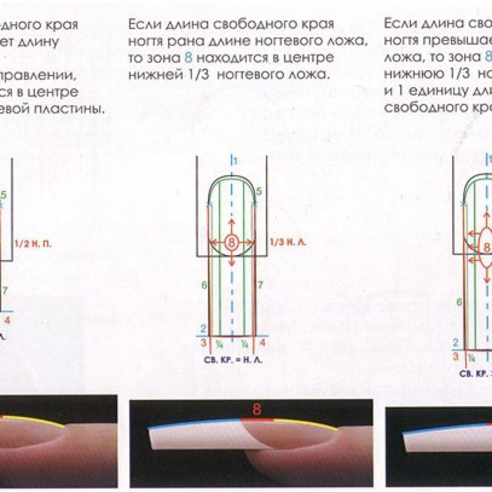 Правильная архитектура ногтя
