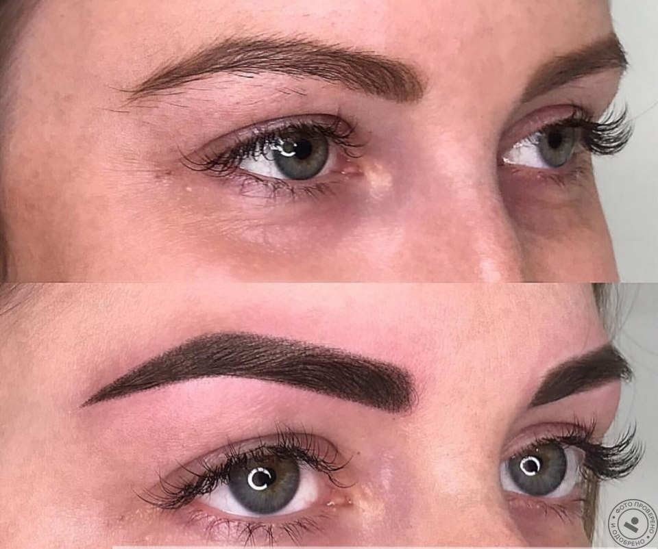 На бровях домой