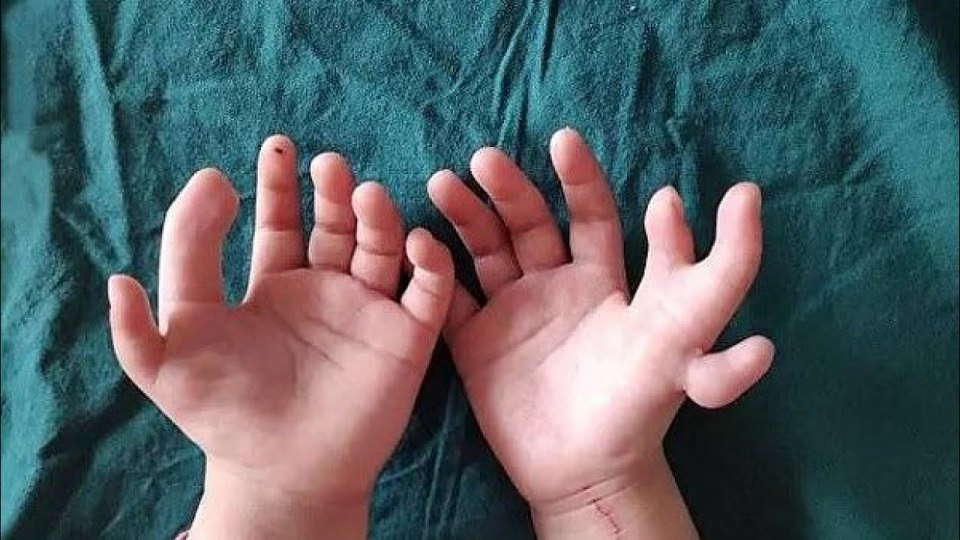 Красивые женские руки