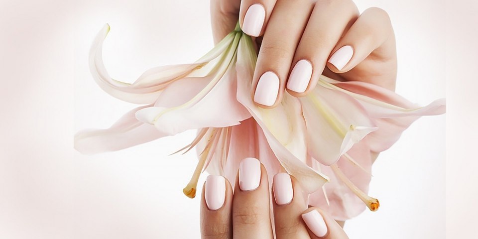 Ногти длинные без фона для фотошопа