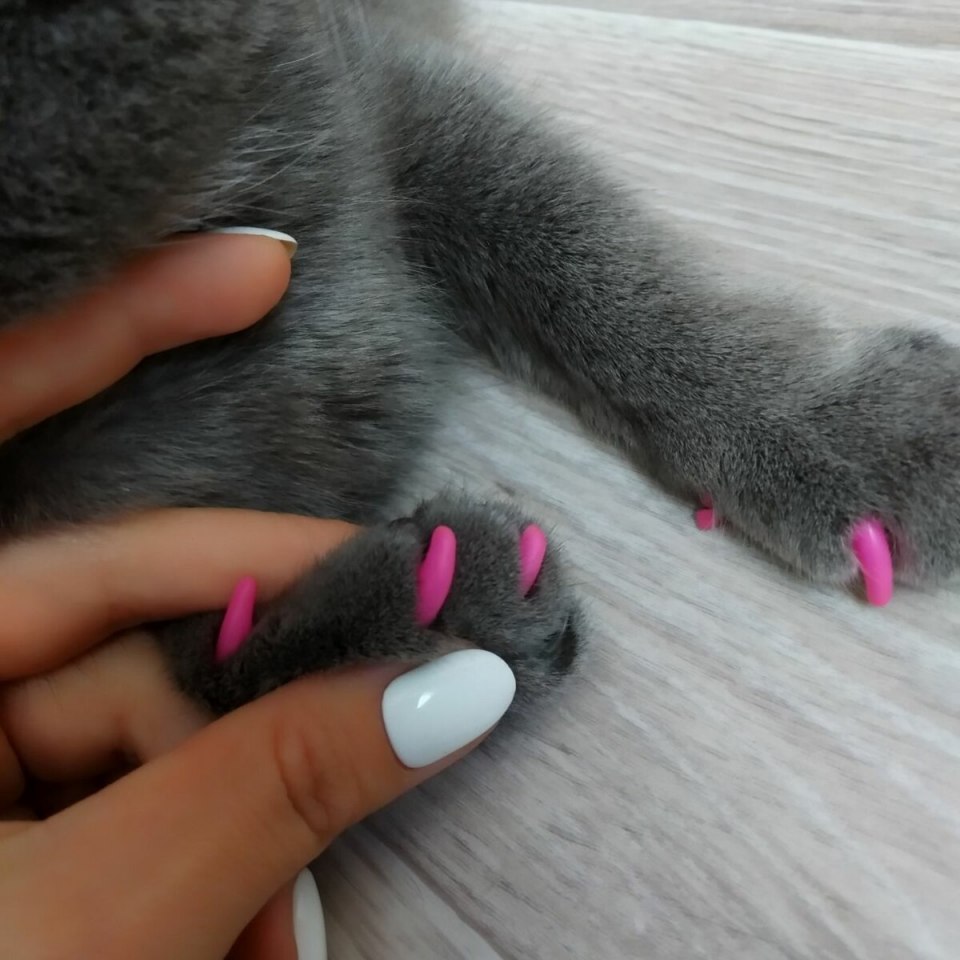 Накладки на когти для кошек