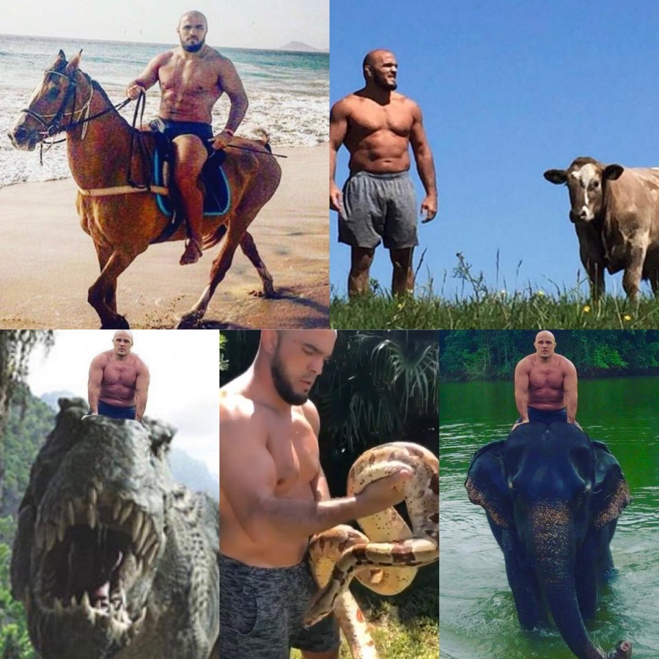 Керли Шег